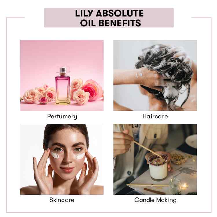 Benefit of Lily Absolute Oil