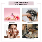 Benefit of Lily Absolute Oil