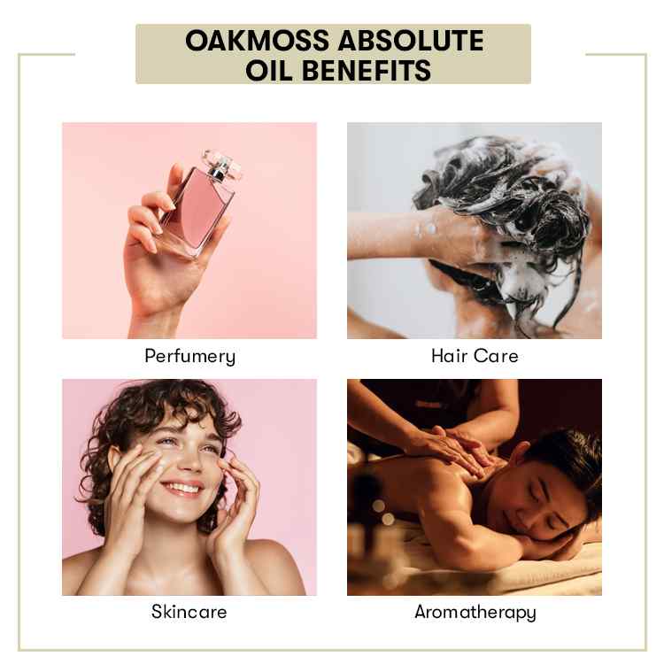 Benefit of Oakmoss Absolute Oil