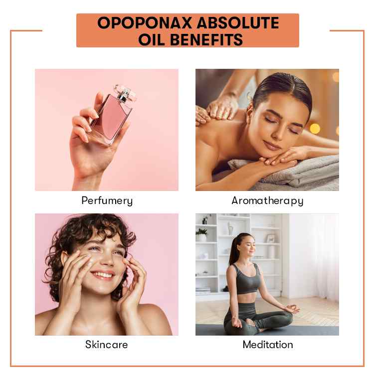 Benefit of Opoponax Absolute Oil