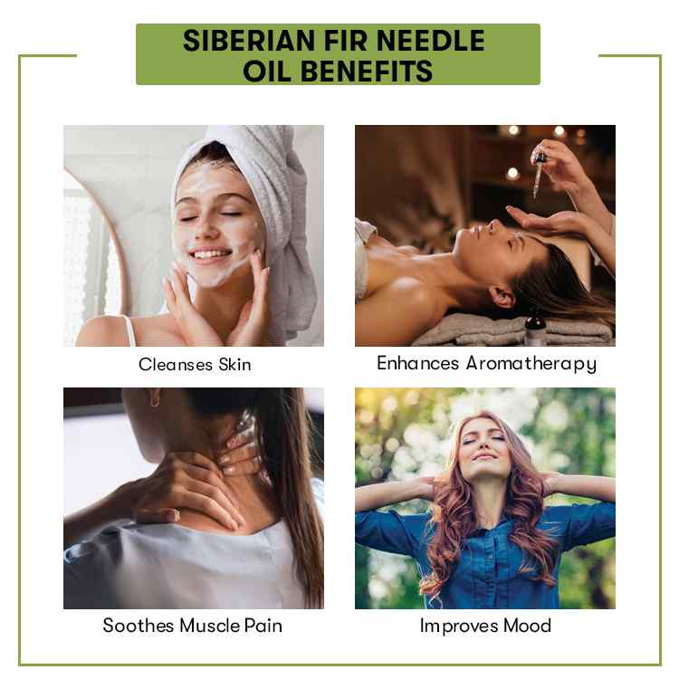 Benefit of Siberian Fir Needle Oil