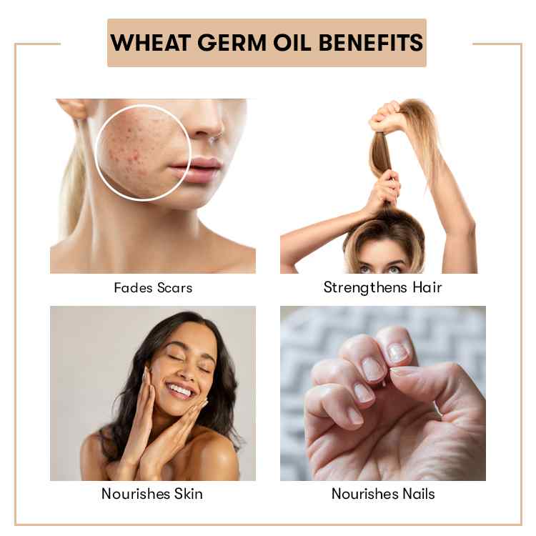 Benefit of Wheat Germ Oil