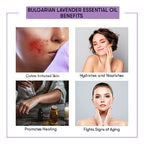 Benefits Bulgarian Lavender Essential Oils 