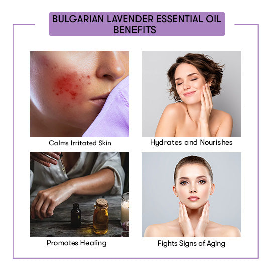 Benefits Bulgarian Lavender Essential Oils 