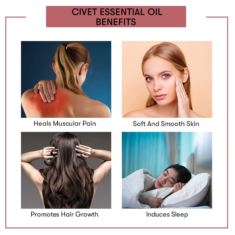 Benefits Civet Essential Oil 