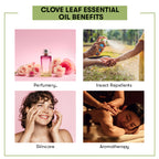 Benefits Clove Leaf Essential Oil