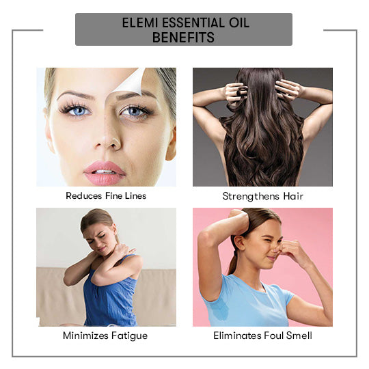 Benefits Elemi Essential Oil