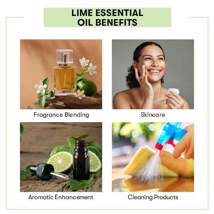 Benefits Lime Essential Oils 