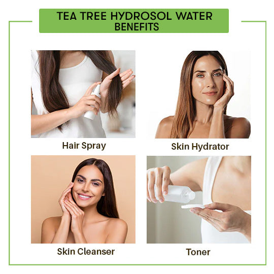 Benefits of Tea Tree Hydrosol water