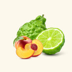 Bergamot and Nectarine Fragrance Oil
