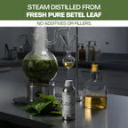 Betel Leaf Essential Oil No Additives