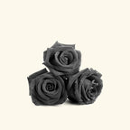 Black Flower Fragrance Oil