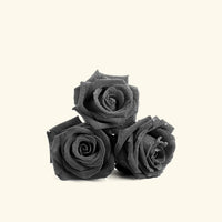 Black Flower Fragrance Oil
