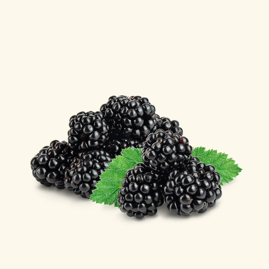 Blackberry Fragrance Oil