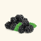 Blackberry Fragrance Oil