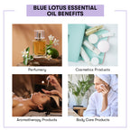 Blue Lotus Essential Oil Benefits