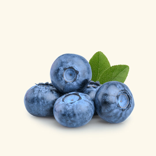 Blueberry Fragrance Oil