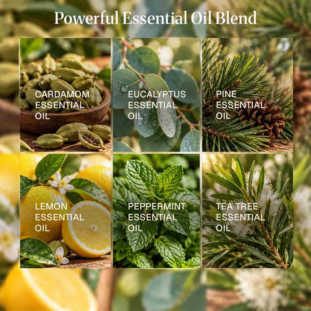 Breathe Essential Oil Blend powerful blend