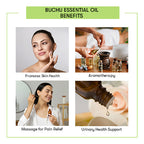 Buchu Essential Oil Benefits