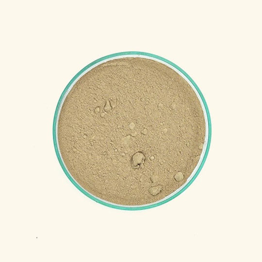 Buy Aloe Vera Powder