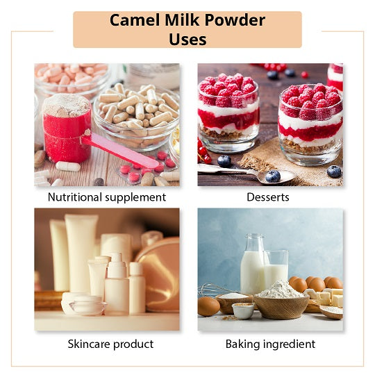Buy Camel Milk Powder ( Edible)