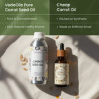 Carrot Seed Oil