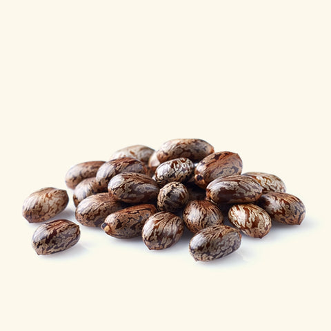 Castor Oil