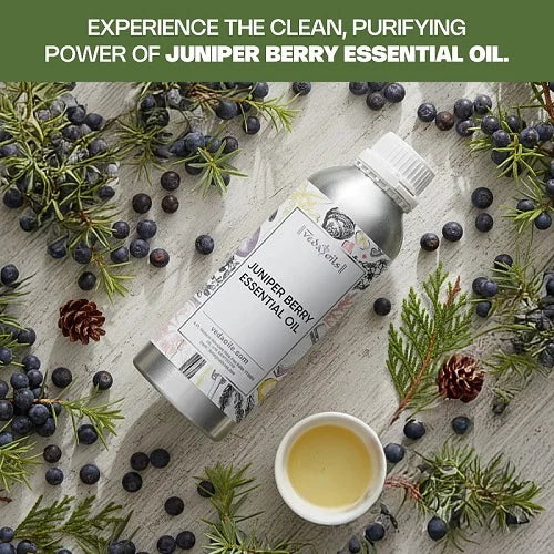Buy Juniper Berry Essential Oil Online