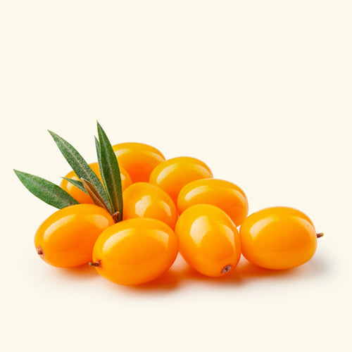 Buy Sea Buckthorn Oil