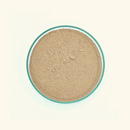Buy Shikakai Powder