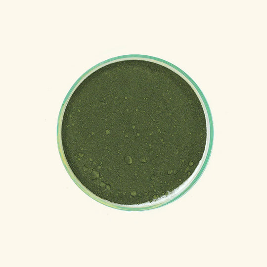 Buy Spirulina Powder