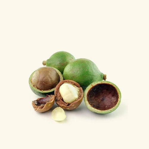 Buy Tamanu Oil