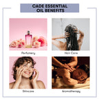 Cade Essential Oil Benefits