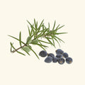 Cade Essential Oil