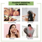 Cajeput Essential Oil Benefits