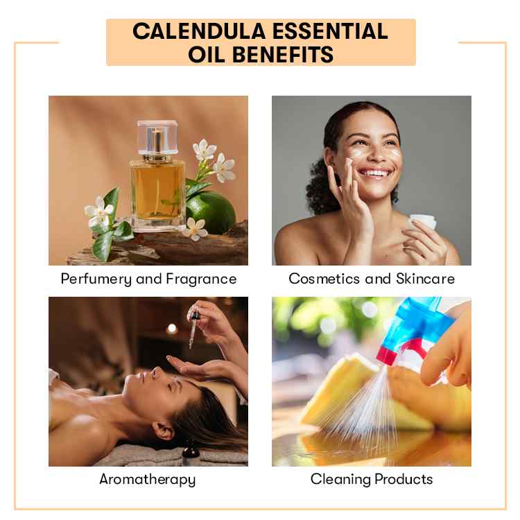 Calendula Essential Oil Benefits