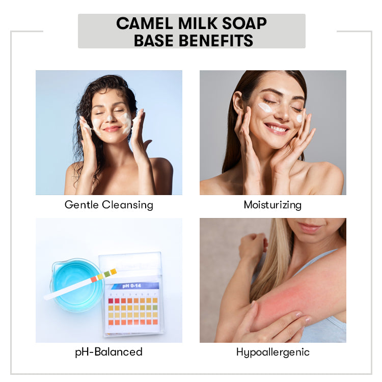 Benefit of Camel Milk Soap Base