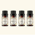 Candy & Sweet Flavors Oils kit