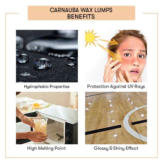 Carnauba Wax Lumps