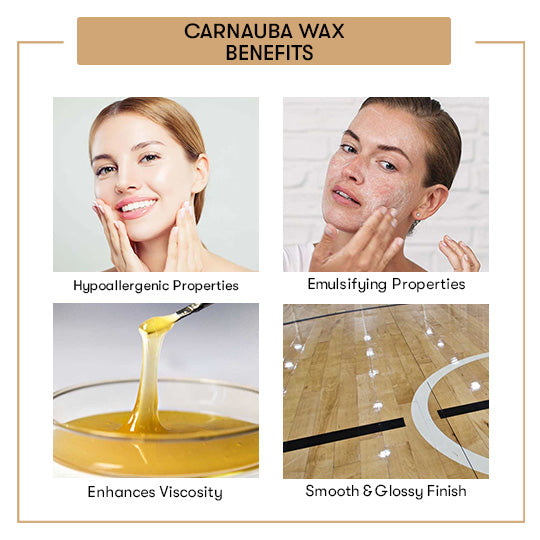 Carnauba Wax Of Benefits