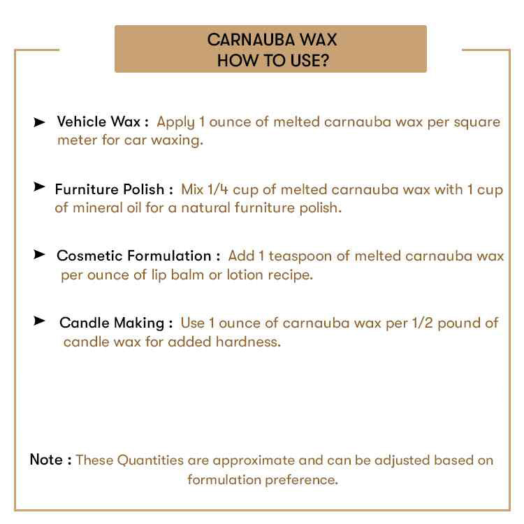 Carnuba Wax Uses