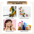 Cedarwood Essential Oil Uses Benefits