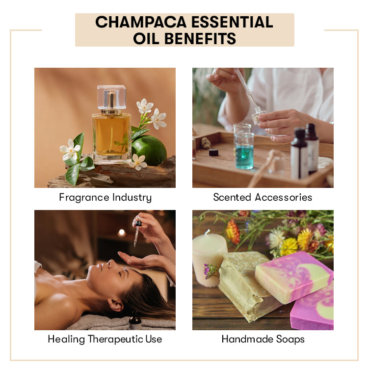 Champaca Essential Benefits