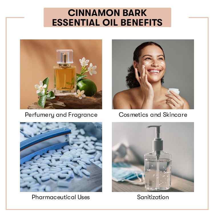 Cinnamon Bark Essential Oil Benefits