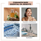 Cinnamon Bark Essential Oil Benefits