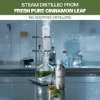 Cinnamon Leaf Essential Oil No Additives