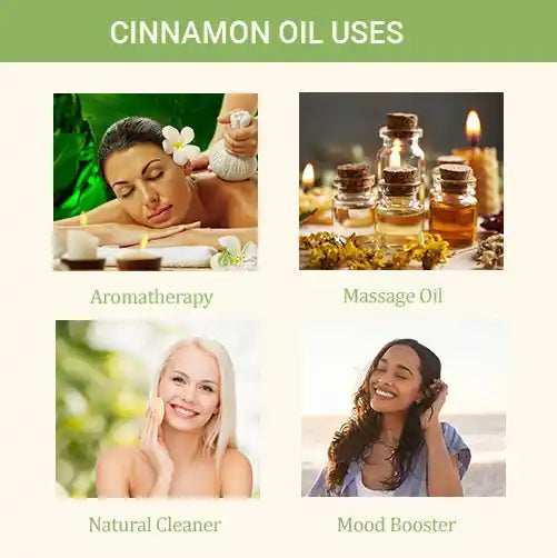 Cinnamon Oil kit uses