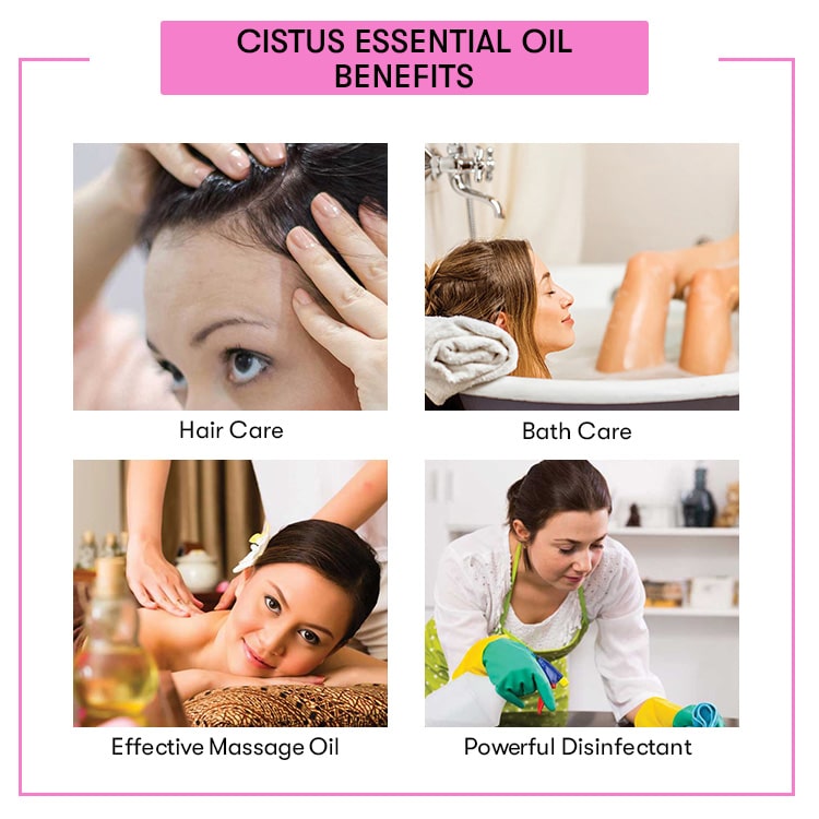 Cistus Essential Oil  Benefits 