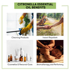 Citronella Essential Oil Benefits