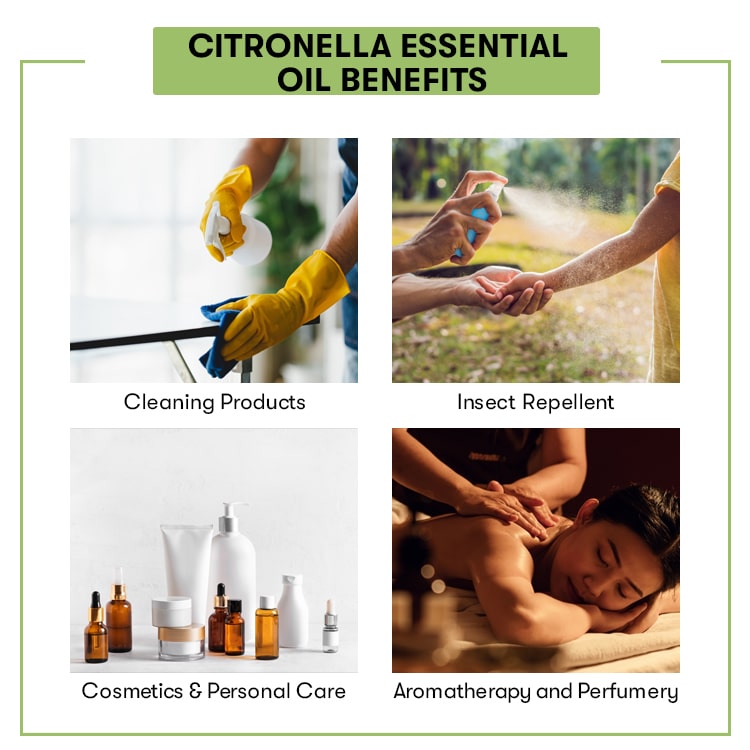 Citronella Essential Oil Benefits
